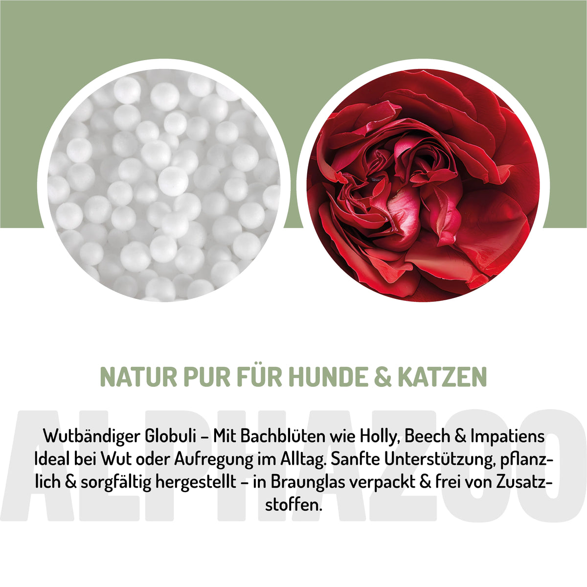 Wutbändiger Bachblüten