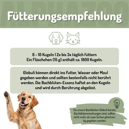 Seelenruhe Bachblüten