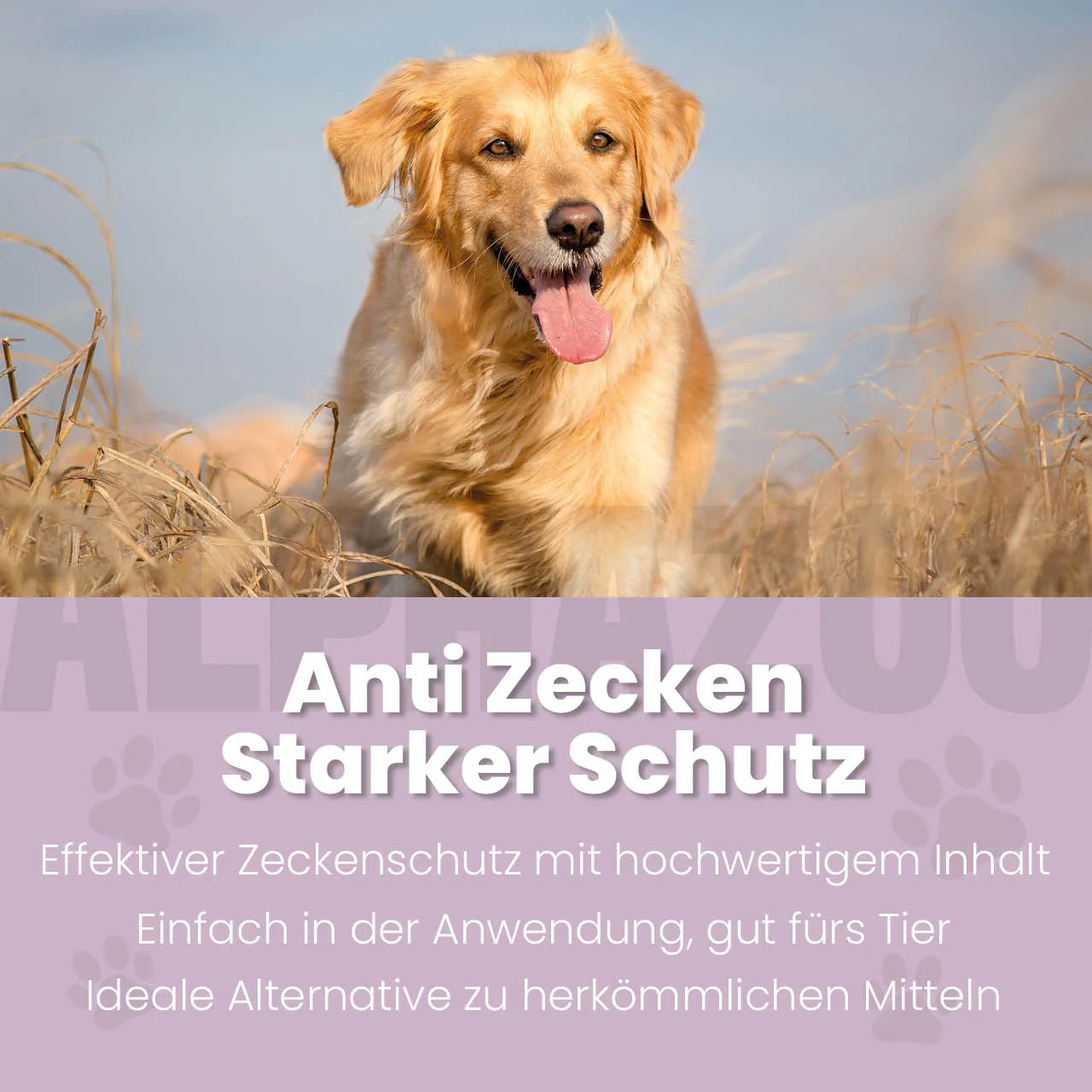 ZeckAttack Spot-On für Hunde