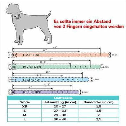 Edles Hundehalsband personalisiert mit Glitzersteinen + Symbol