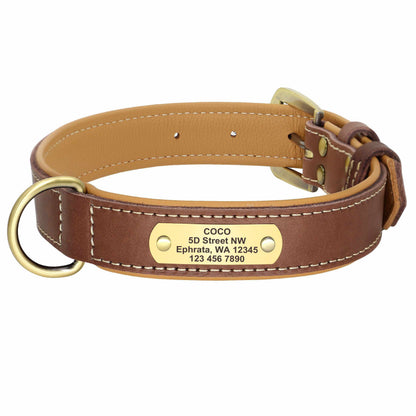 Exklusives Leder Hundehalsband mit großer Gravurplatte und gratis Gravur