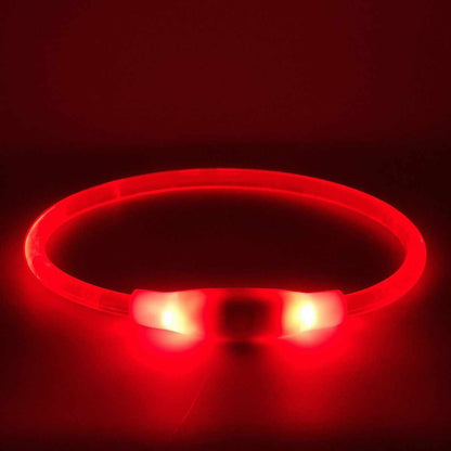 LED-Leuchthalsband / Leuchtring für Hunde