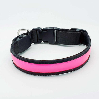 Stabiles Nylon LED Leuchthalsband mit USB Anschluß