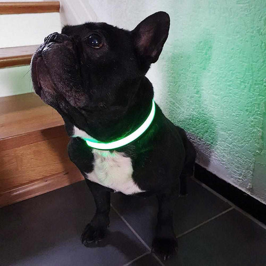 Stabiles Nylon LED Leuchthalsband mit USB Anschluß