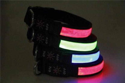 Stabiles Nylon LED Leuchthalsband mit USB Anschluß