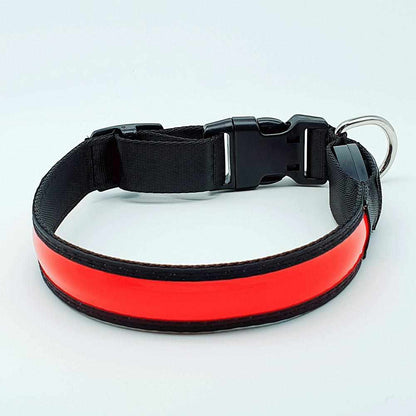 Stabiles Nylon LED Leuchthalsband mit USB Anschluß