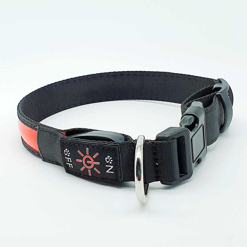 Stabiles Nylon LED Leuchthalsband mit USB Anschluß