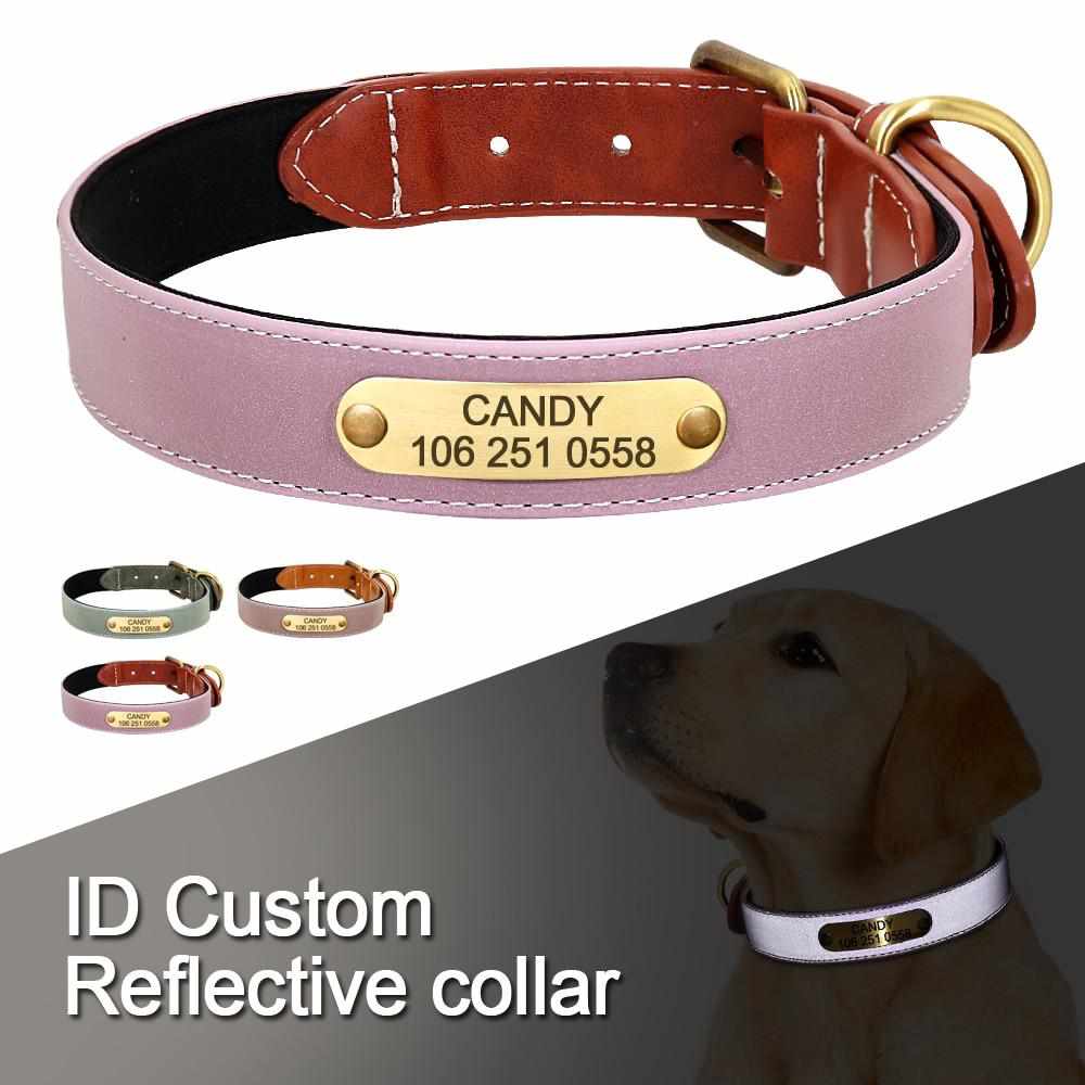 Wunderschönes Reflektions Halsband für Hunde mit gratis Gravur