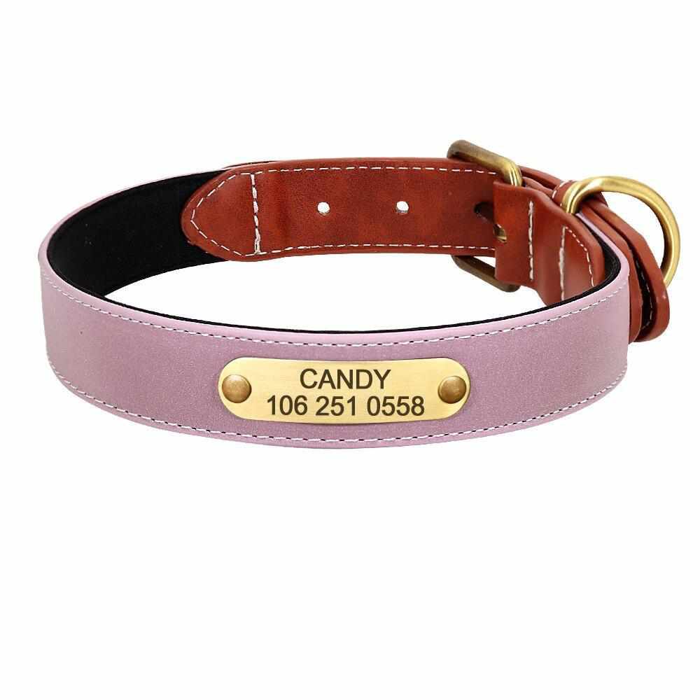 Wunderschönes Reflektions Halsband für Hunde mit gratis Gravur